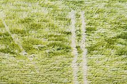 Kelim-teppe Marokkansk Azilal 250 x 160 cm