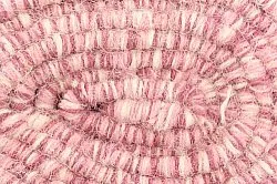 Ullteppe - Wellington (rosa)