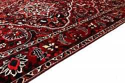 Orientalsk teppe Hamedan 298 x 202 cm