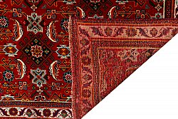 Persisk teppe Hamedan 254 x 146 cm