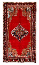 Persisk teppe Hamedan 282 x 157 cm