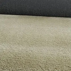 Asymmetrisk Bølgete Ryeteppe - Aranga Super Soft Fur (lysegrønn)