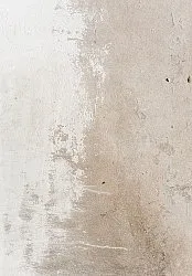 Wilton-teppe - Bornos (grå/beige)