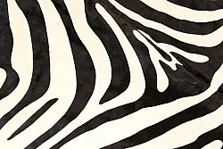 Sebraskinn 11