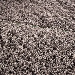 Ryetepper - Bellevue Natural Cotton Shaggy (taupe/grønn)