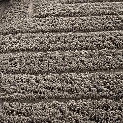 Ryetepper - Conara Natural Cotton Shaggy (taupe)