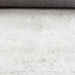 Wilton-teppe - Bornos (grå/beige)