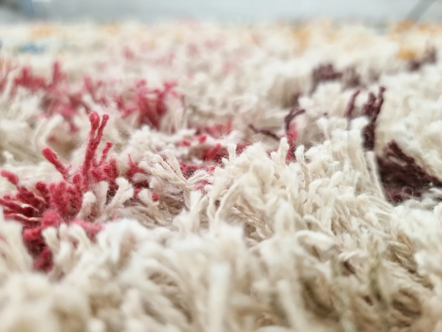 Ryetepper - Maloney Natural Cotton Shaggy (multi)