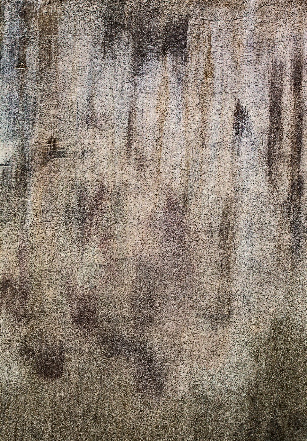 Wilton-teppe - Polia (grå/brun)