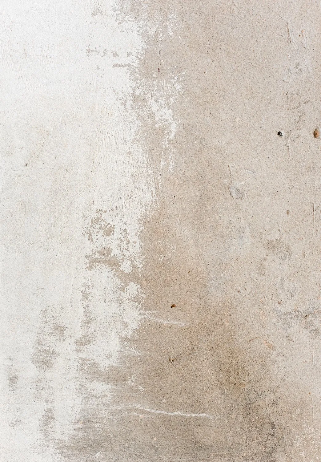 Wilton-teppe - Bornos (grå/beige)