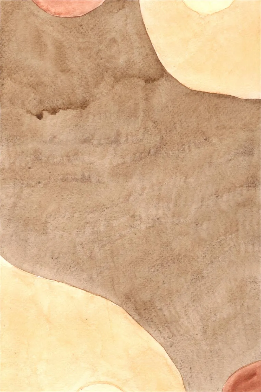 Wilton-teppe - Nisa (brun/beige)
