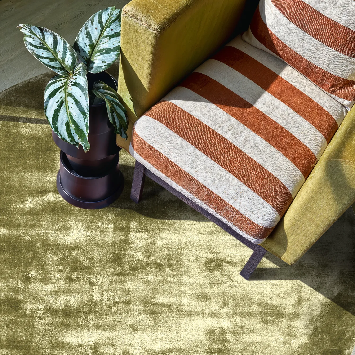 Rundt teppe - Jodhpur Special Luxury Edition (olivengrønn)