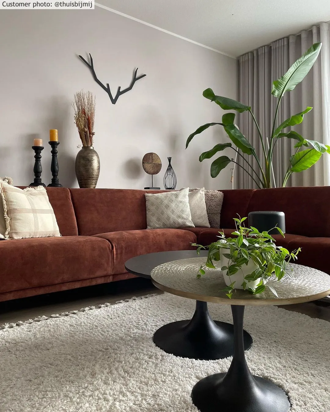 Ryetepper - Orellana (beige)